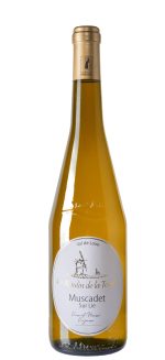 Muscadet sur Lie